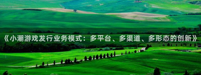 bg大游子经理人一共出了多少本：《小潮游戏发行业务模式：多平台、多渠道、多形态的创新》