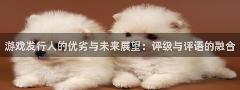 bg大游电子商务有限公司怎么样：游戏发行人的优劣与未来展望：评级与评语的融合