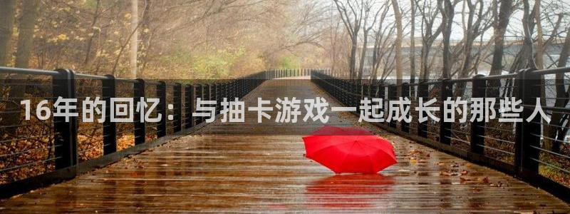 陕西bg大游子文化创意有限公司1：16年的回忆：与抽卡游戏一起成长的那些人