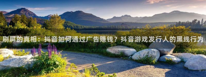 bg大游平台登录入口官网：刷屏的真相：抖音如何通过广告赚钱？抖音游戏发行人的黑线行为