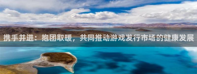 广东bg大游电子商务有限公司