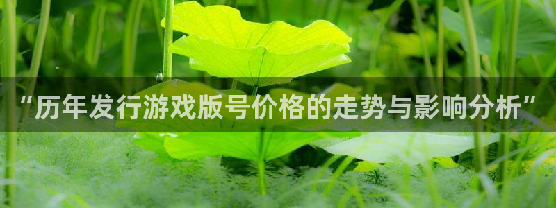 bg大游子经理人一共出了多少本：“历年发行游戏版号价格的走势与影响分析”