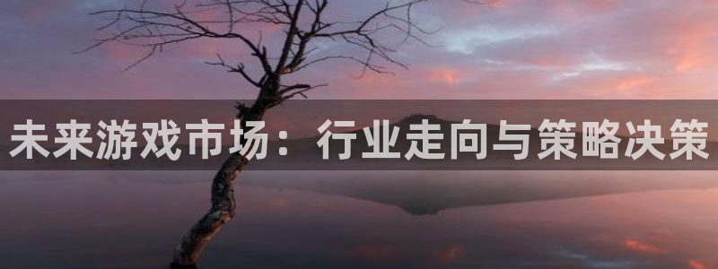 bg大游官网注册方法有哪些软件：未来游戏市场：行业走向与策略决策