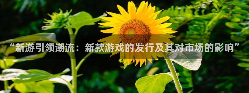 bg大游集团公司怎么样：“新游引领潮流：新款游戏的发行及其对市场的影响”