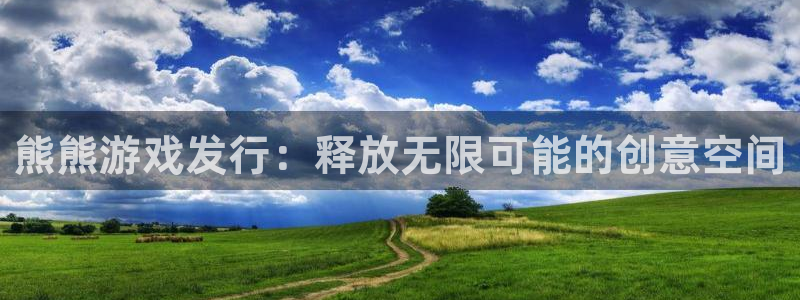 苏州bg大游网络科技有限公司：熊熊游戏发行：释放无限可能的创意空间