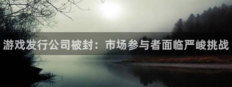 bg大游官网怎么注册账号：游戏发行公司被封：市场参与者面临严峻挑战