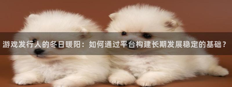 bg大游官网怎么注册账号：游戏发行人的冬日暖阳：如何通过平台构建长期发展稳定的基础？