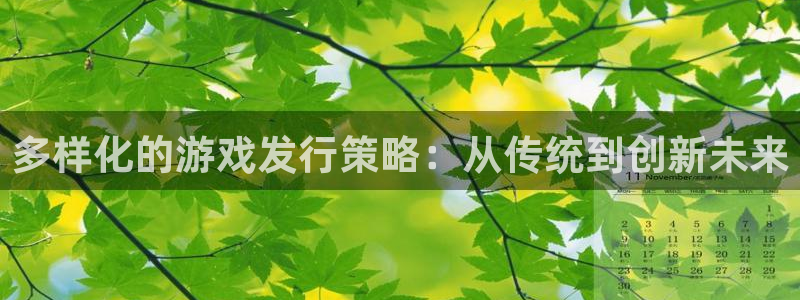 bg大游官网注册平台登录不了：多样化的游戏发行策略：从传统到创新未来