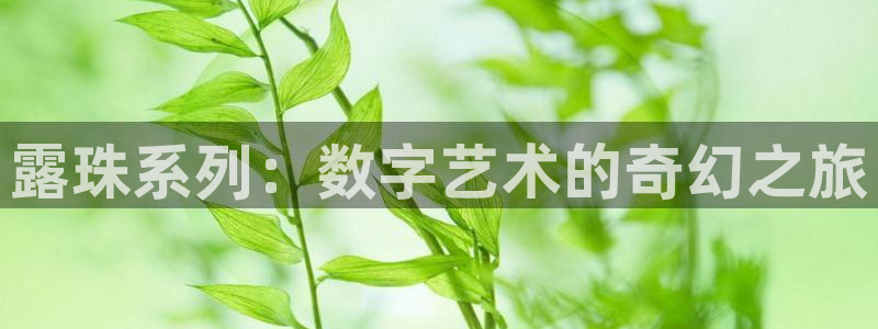 东莞bg大游信息科技有限公司