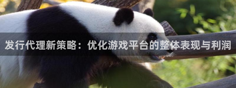 bg大游服装分店有几家