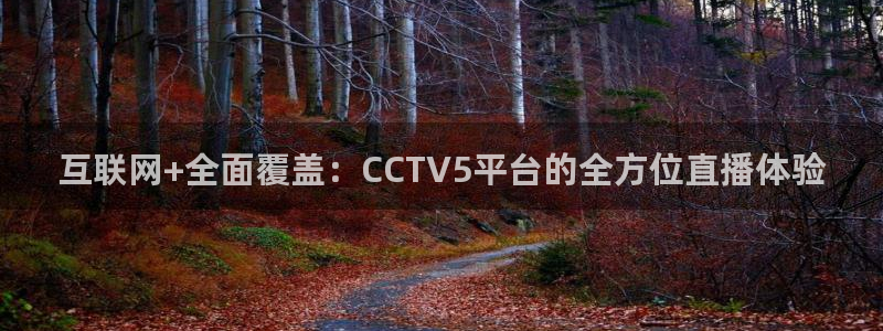 飞速直播：互联网+全面覆盖：CCTV5平台的全方位直播体验