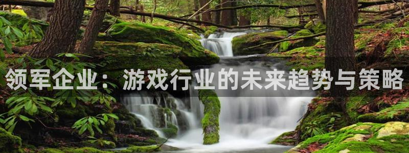 bg大游装饰：领军企业：游戏行业的未来趋势与策略