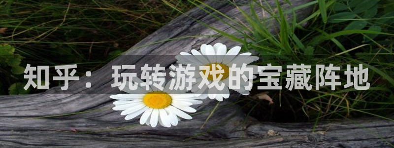 bg大游官网注册登录官网：知乎：玩转游戏的宝藏阵地