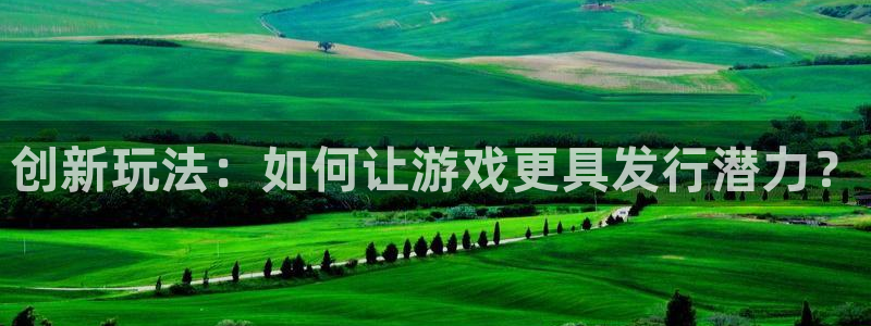 bg大游官网登录注册账号是什么样的：创新玩法：如何让游戏更具发行潜力？