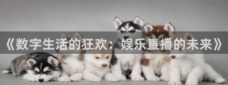 飞速直播足球直播nba直播吧：《数字生活的狂欢：娱乐直播的未来》