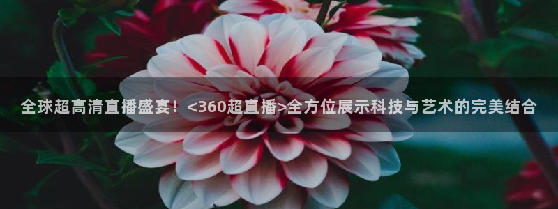 飞速体育高速直播：全球超高清直播盛宴！<360超直播>全方位展示科技与艺术的完美结合