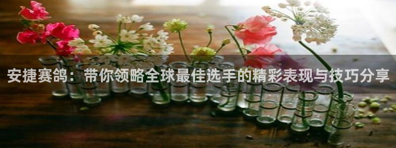 飞速直播nba在线观看