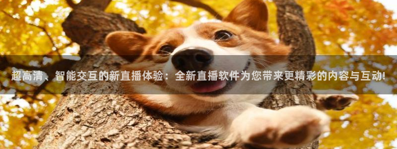 飞速体育直播nba直播：超高清、智能交互的新直播体验：全新直播软件为您带来更精彩的内容与互动!