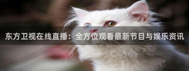 高速直播飞速体育：东方卫视在线直播：全方位观看最新节目与娱乐资讯