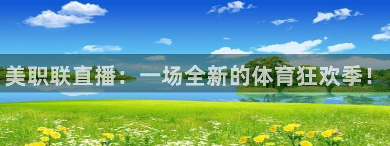 飞速nba直播在线直播：美职联直播：一场全新的体育狂欢季！