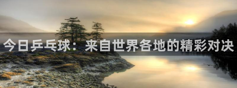 飞速体育高速直播：今日乒乓球：来自世界各地的精彩对决