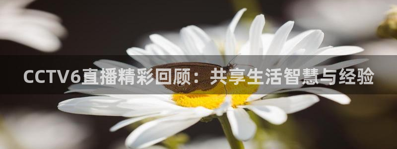 酷玩直播飞速直播低调看nba直播：CCTV6直播精彩回顾：共享生活智慧与经验