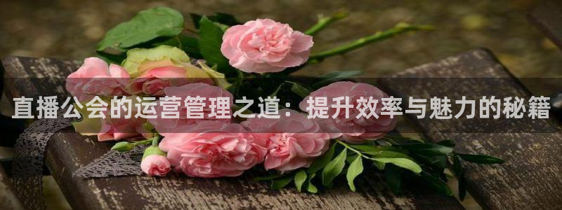 飞速足球直播官网：直播公会的运营管理之道：提升效率与魅力的秘籍