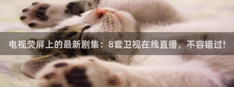 飞速直播nba无插件直播：电视荧屏上的最新剧集：8套卫视在线直播，不容错过!