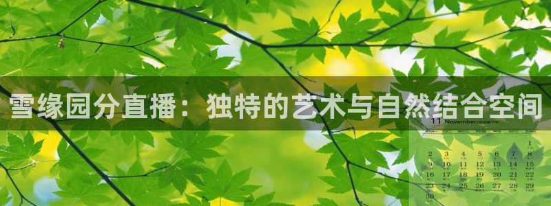 飞速直播体育无插件：雪缘园分直播：独特的艺术与自然结合空间