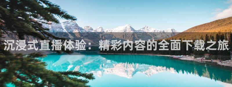 飞速nba直播吧：沉浸式直播体验：精彩内容的全面下载之旅