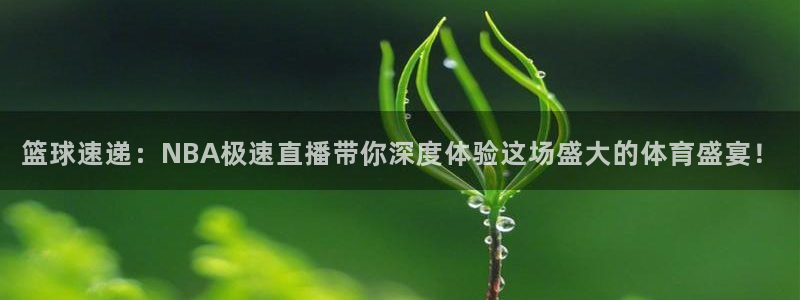 飞速直播nba直播无插件：篮球速递：NBA极速直播带你深度体验这场盛大的体育盛宴！